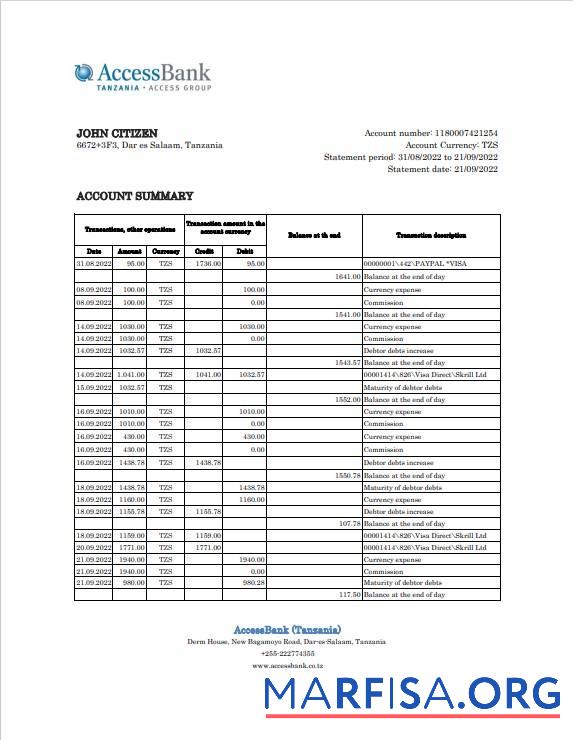 Realistic Tanzania Access bank statement excel example
